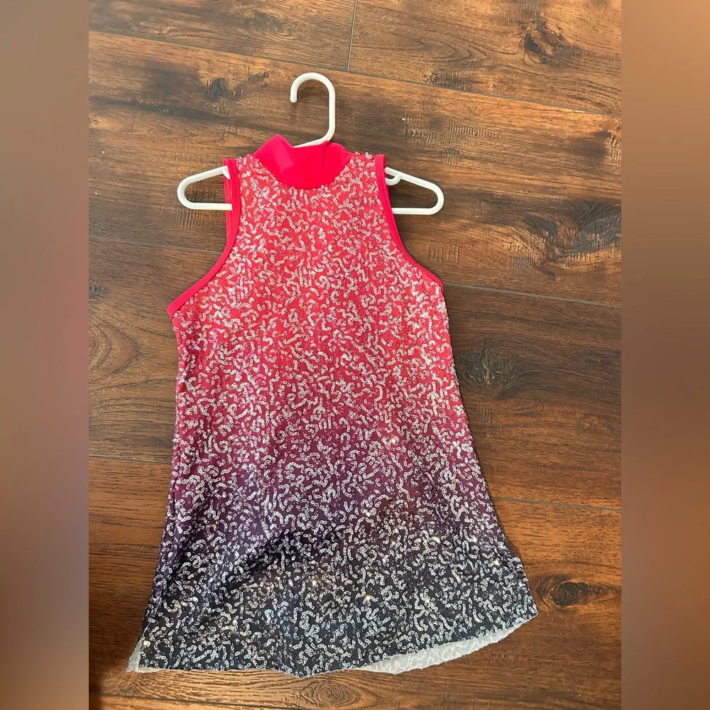 Balera Pink and Gray Sequined Costume